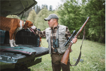 Making The Most Of The Off-Season: Activities For Your Hunting Dog Making The Most Of The Off-Season: Activities For Your Hunting Dog